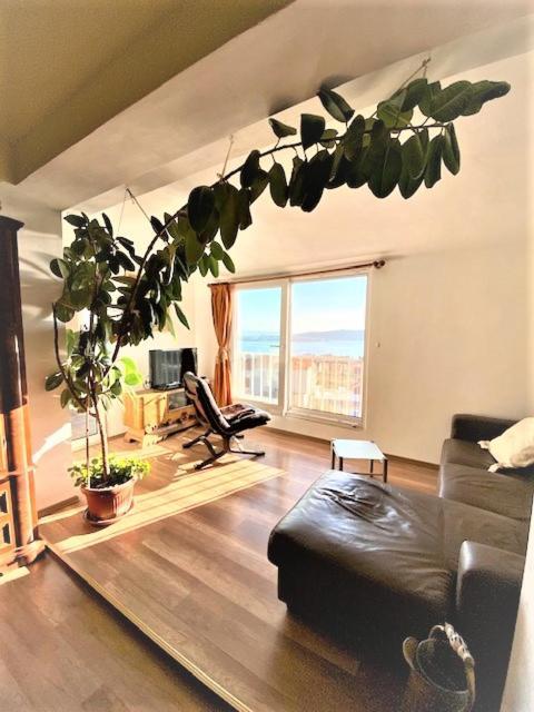 Amarante Apartments Kaštela Zewnętrze zdjęcie